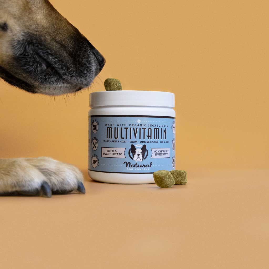Perro oliendo las vitaminas para perros de la marca Natural Dog Company vendido en Dogytoon