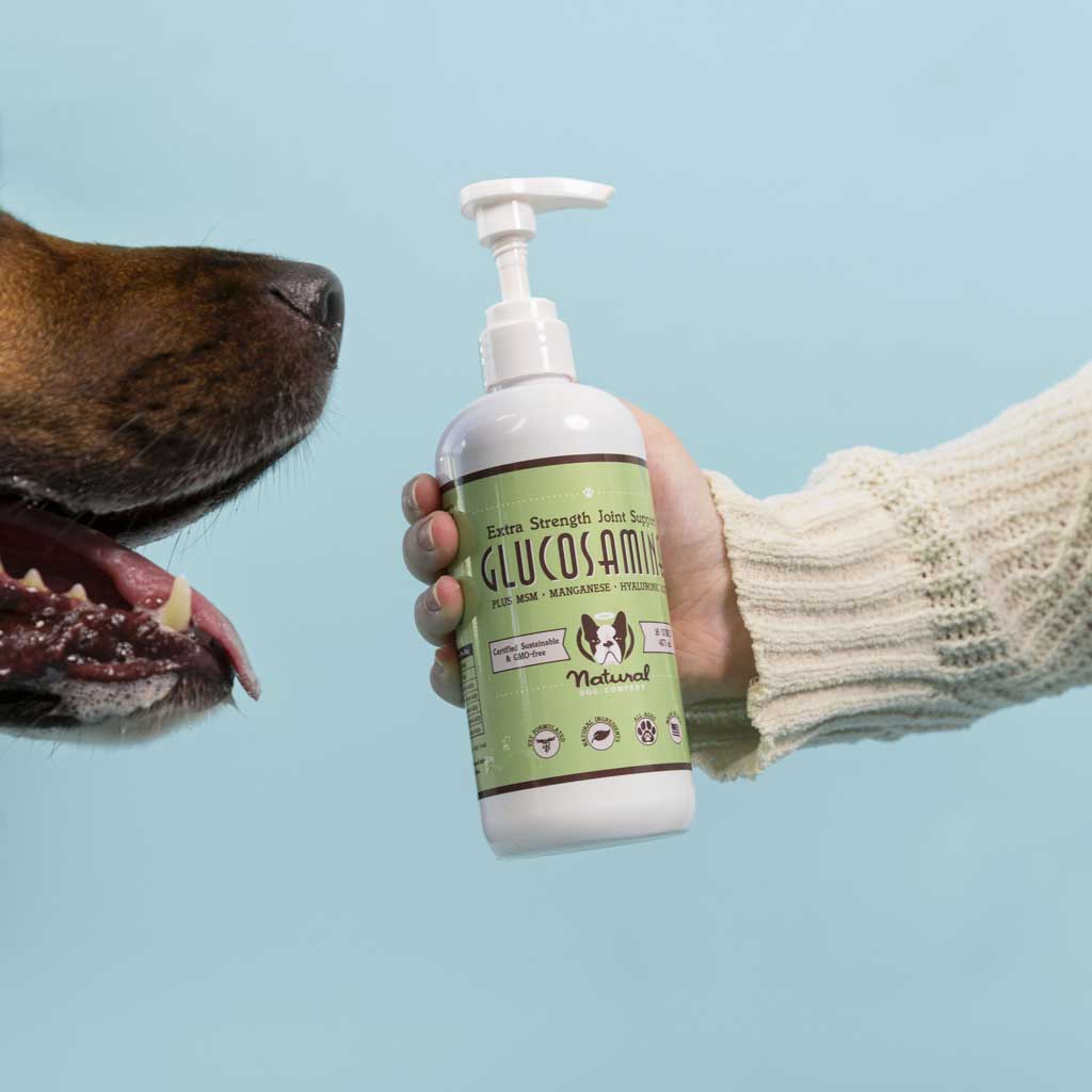 perro oliendo una glucosamina de la línea de productos para la salud & bienestar de tu perro