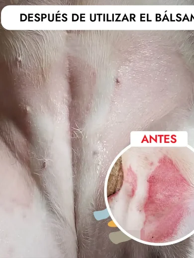Balsamo para la piel resultados Resultados al usar el bálsamo para la piel de perros