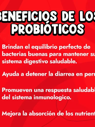 Beneficios de los probioticos para perro naturales vendidos en Dogytoon.
