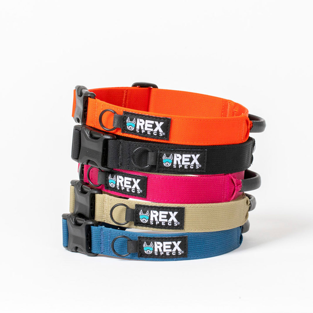 Collares_Rex_Specs_medianos Collar para perros TrailHead de Rex Specs en varios colores