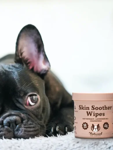 Pañuelos humedos para Bulldog Bulldog francés con los pañitos húmedos para la piel