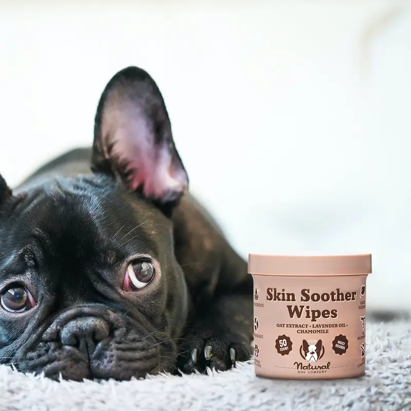 Pañuelos humedos para Bulldog Bulldog francés con los pañitos húmedos para la piel