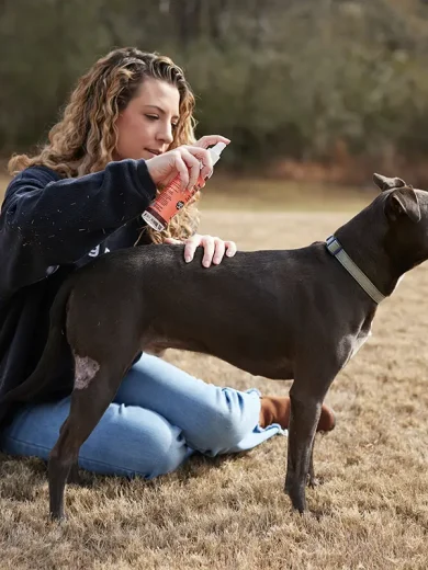 Uso del perfume para perros natural